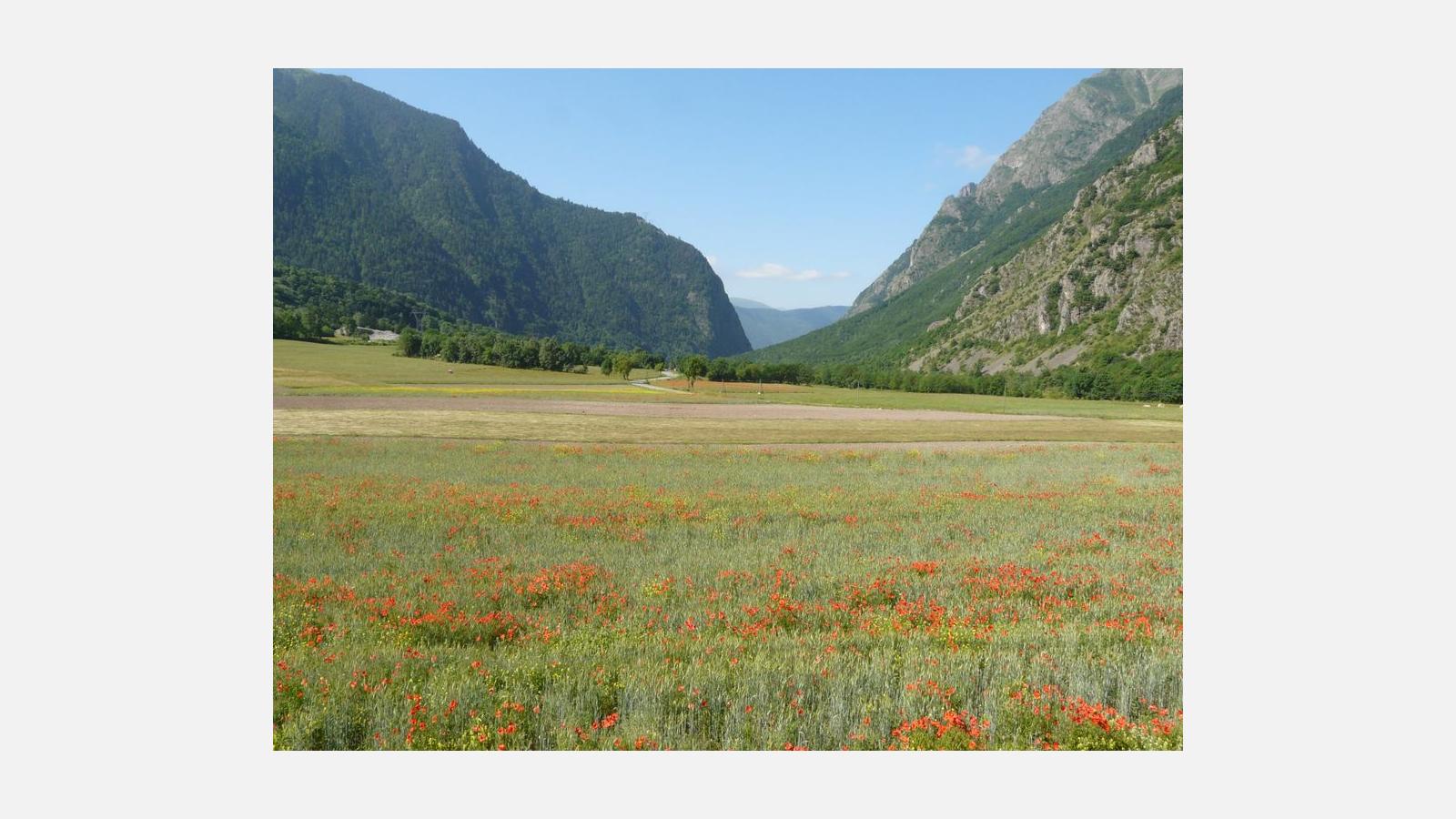 2008_06_28_paysage_le_perier_15_jpn.jpg
