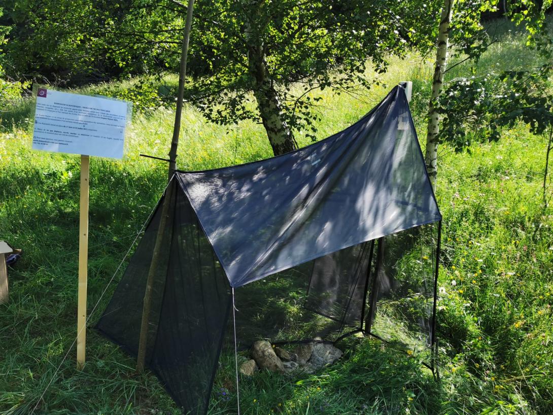 Installation d'une tente malaise sur le site Natura 2000 du Col d'Ornon en amont de l'évènement